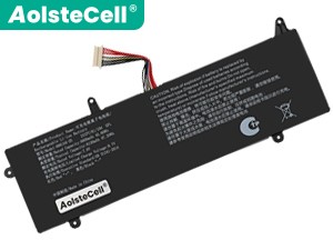 AolsteCell 6661A4-2S Akku
