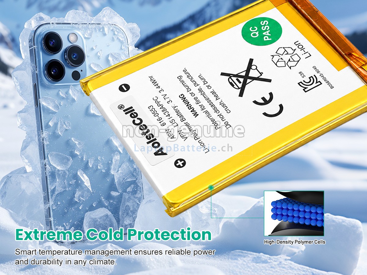 Apple IPOD TOUCH 4 Ersatzbatterie