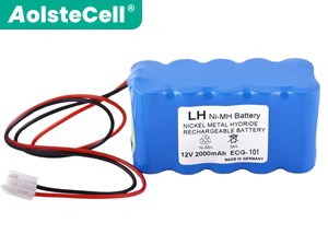 Biocare ECG-100 Akku