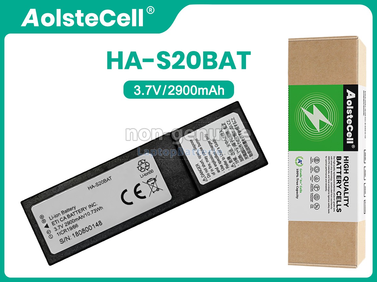 CASIO DT-X400 Ersatzbatterie