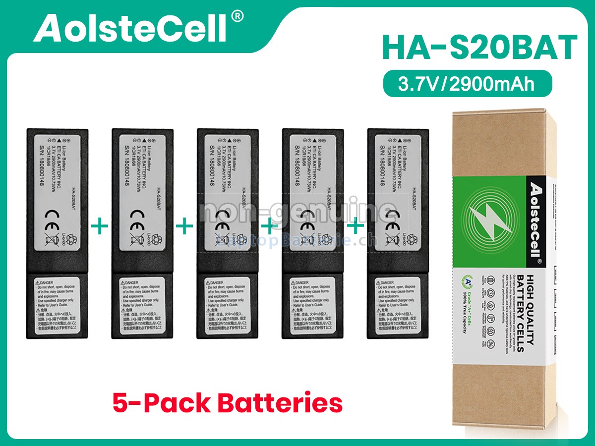 CASIO DT-X400 Ersatzbatterie