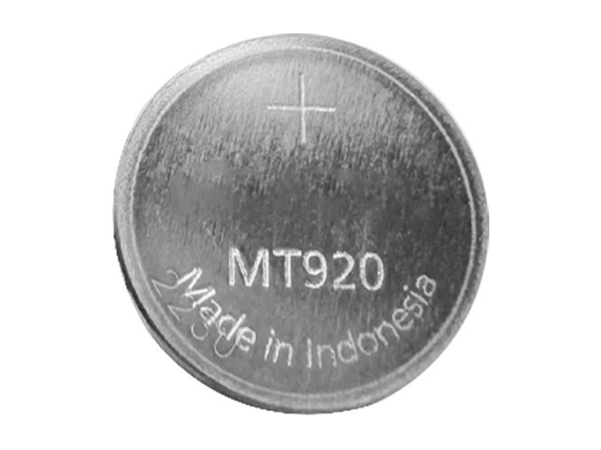 CITIZEN 295-5700 Akku