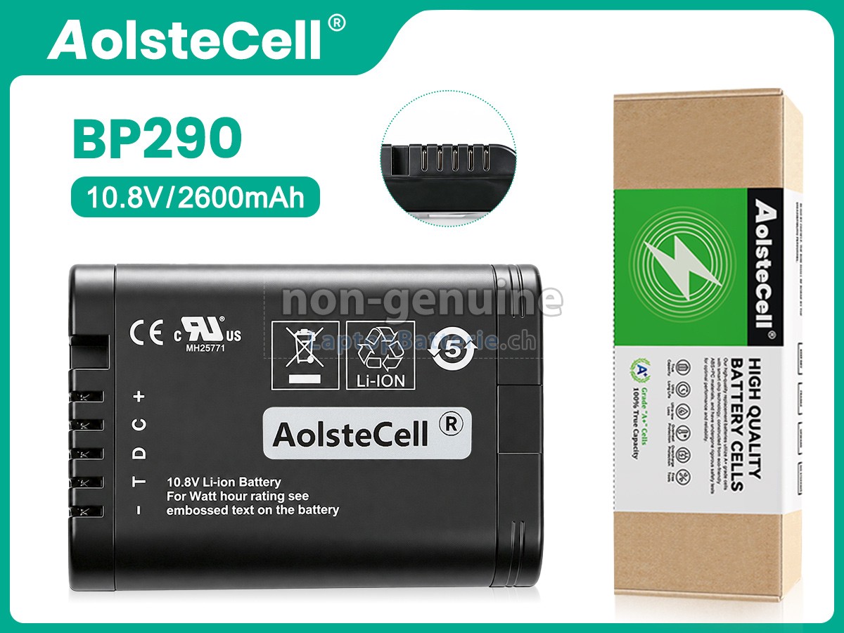 FLUKE BP290 Ersatzbatterie