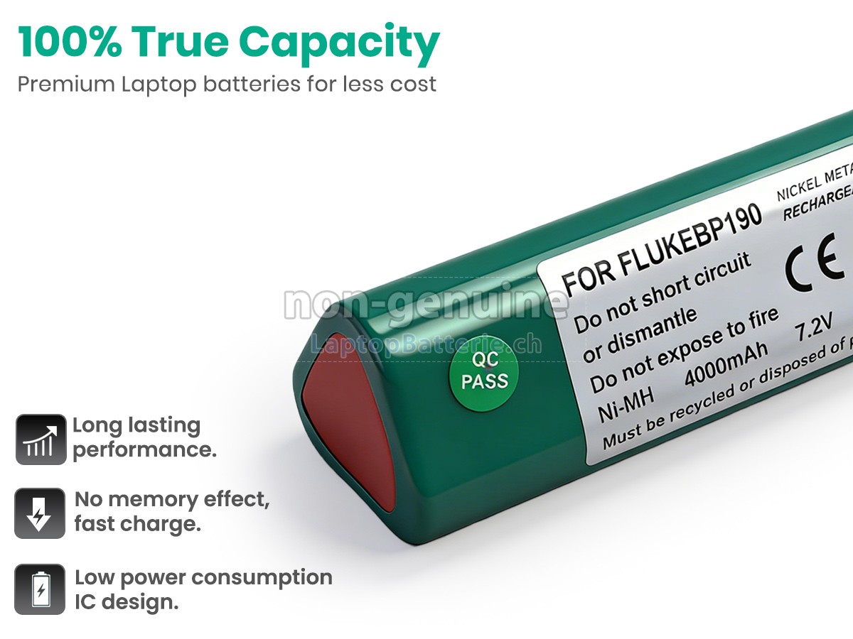 FLUKE F199B Ersatzbatterie