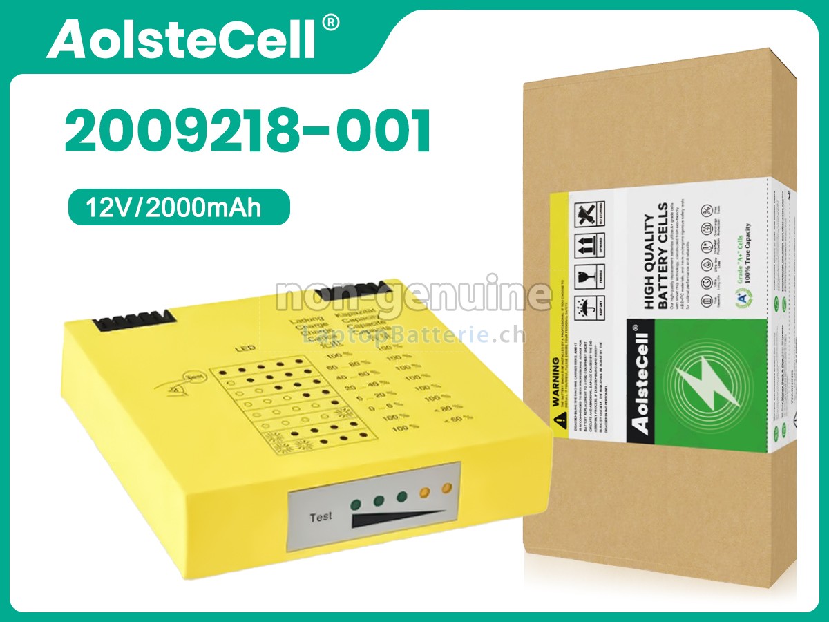 GE 2009218-001 Ersatzbatterie