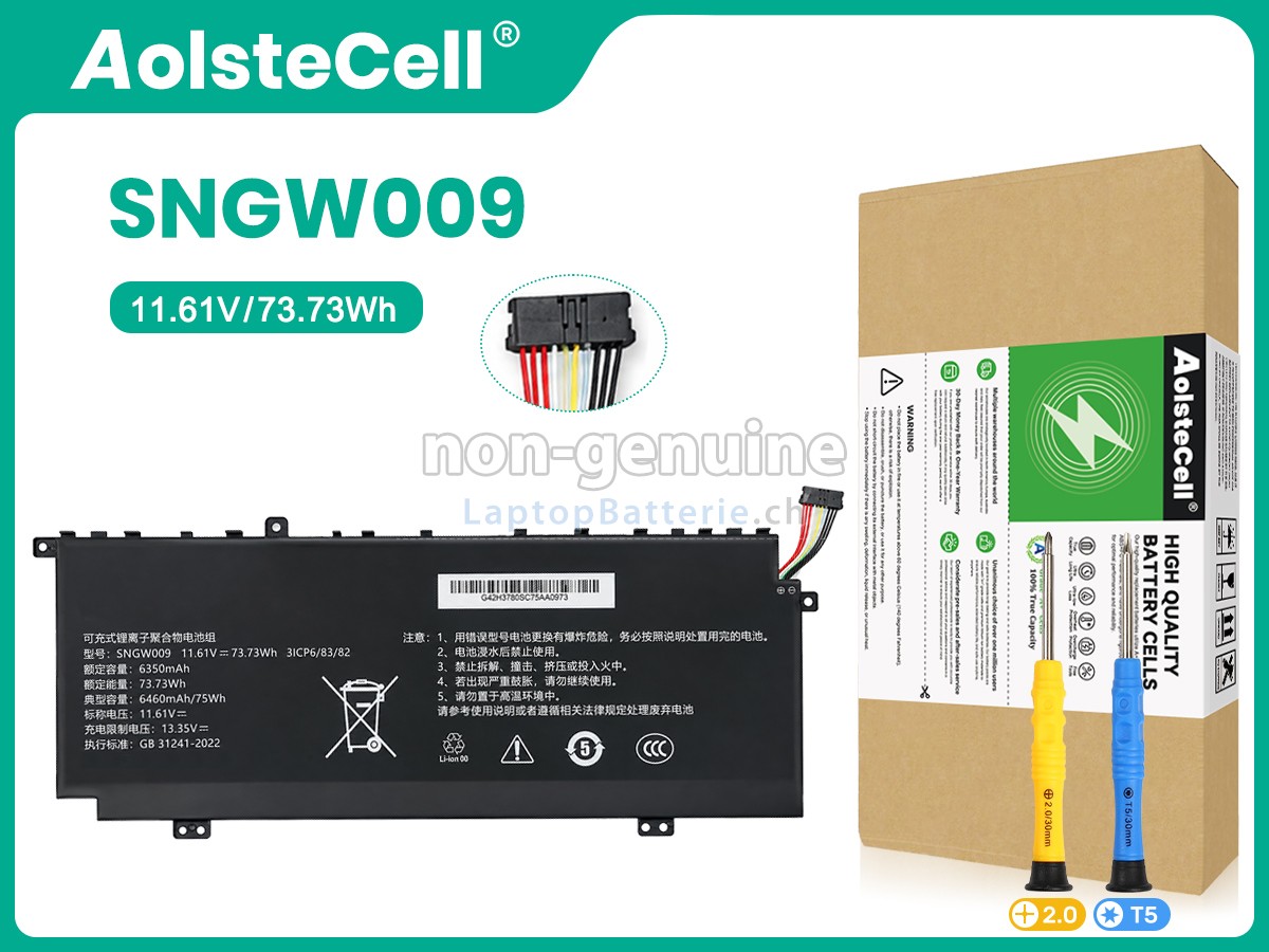 Great Wall SNGW009 Ersatzbatterie