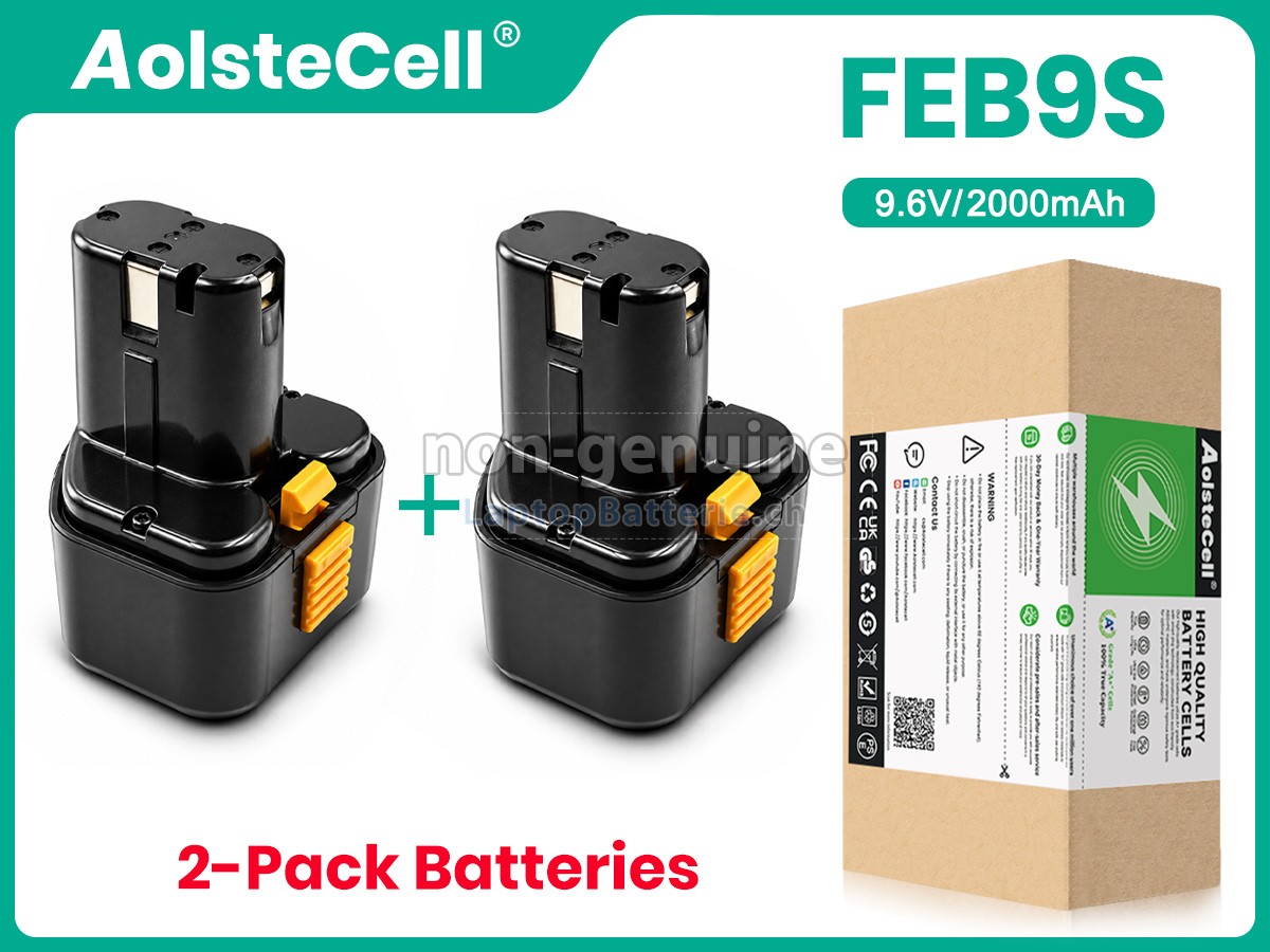 Hitachi DS9DVB Ersatzbatterie