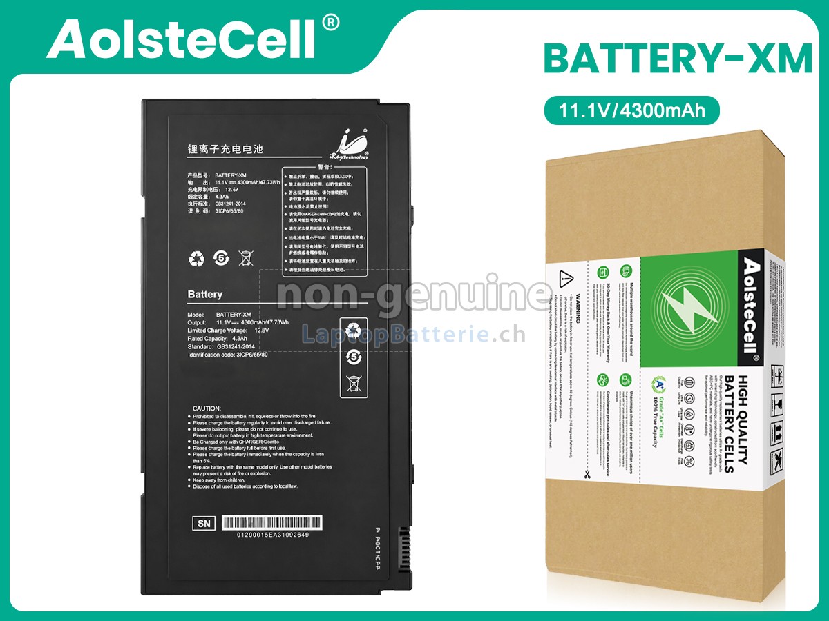 Iray BATTERY-XM Ersatzbatterie