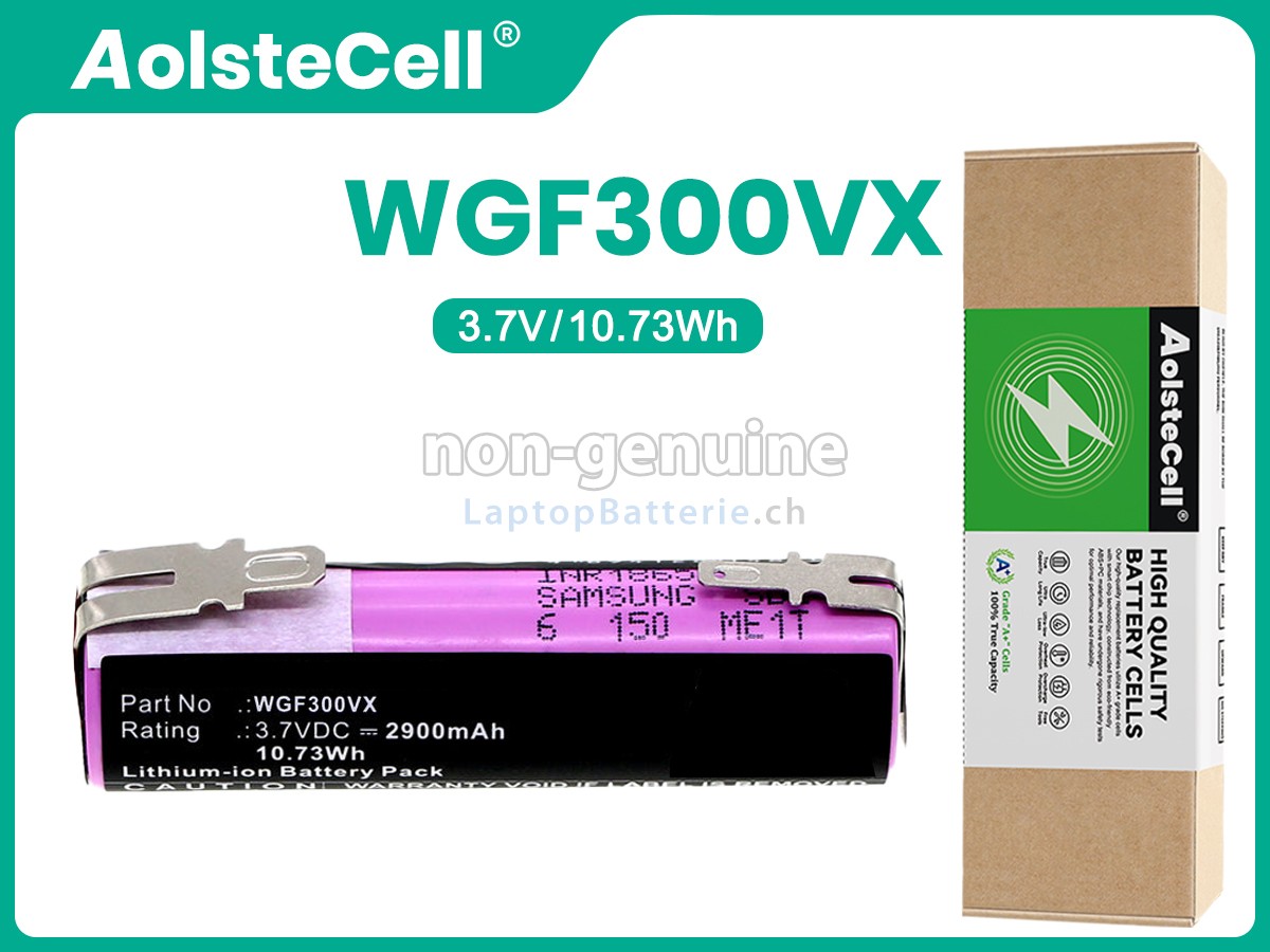 Karcher WV50 PLUS Ersatzbatterie