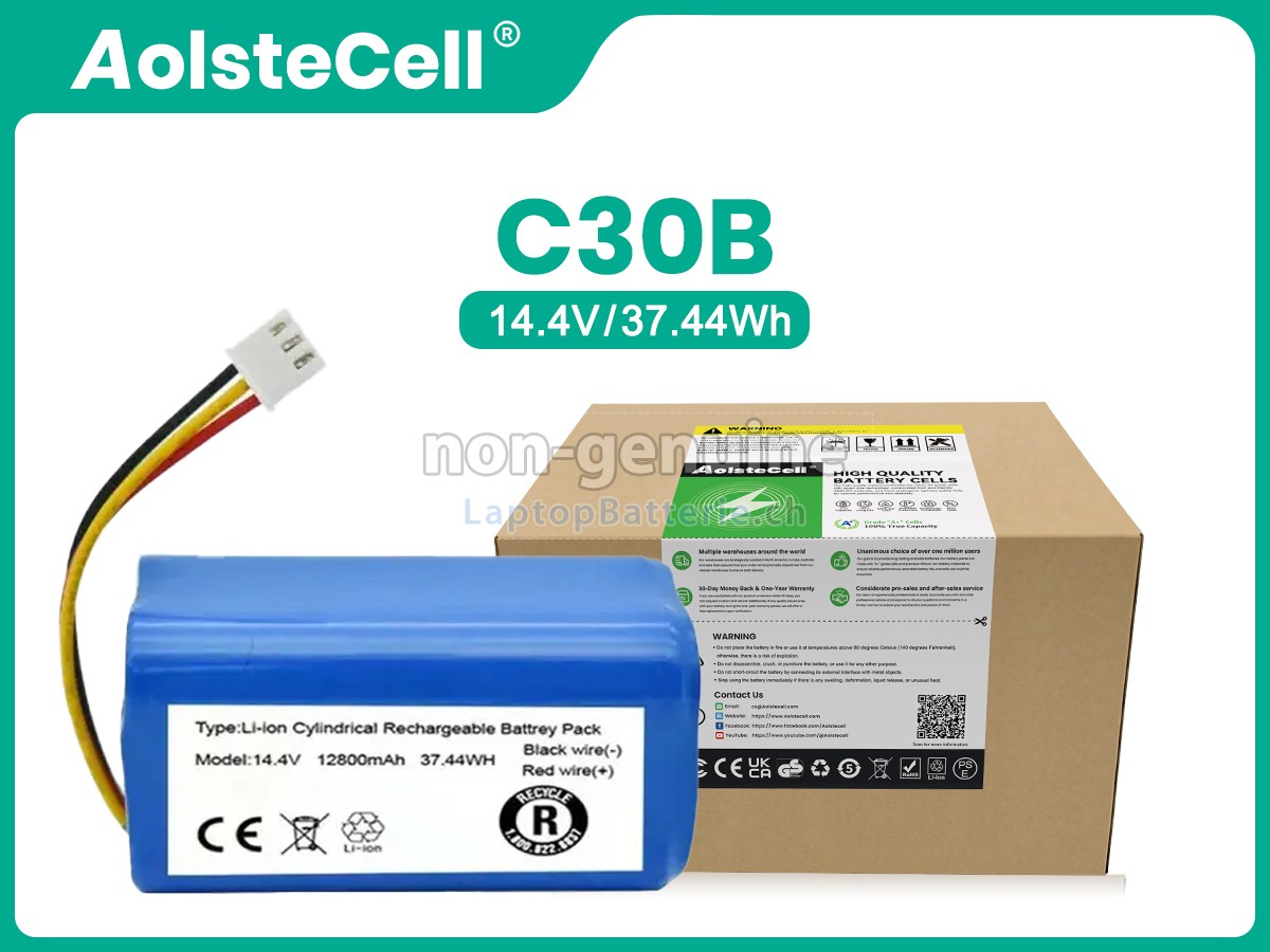 LIECTROUX C30B 2D Ersatzbatterie