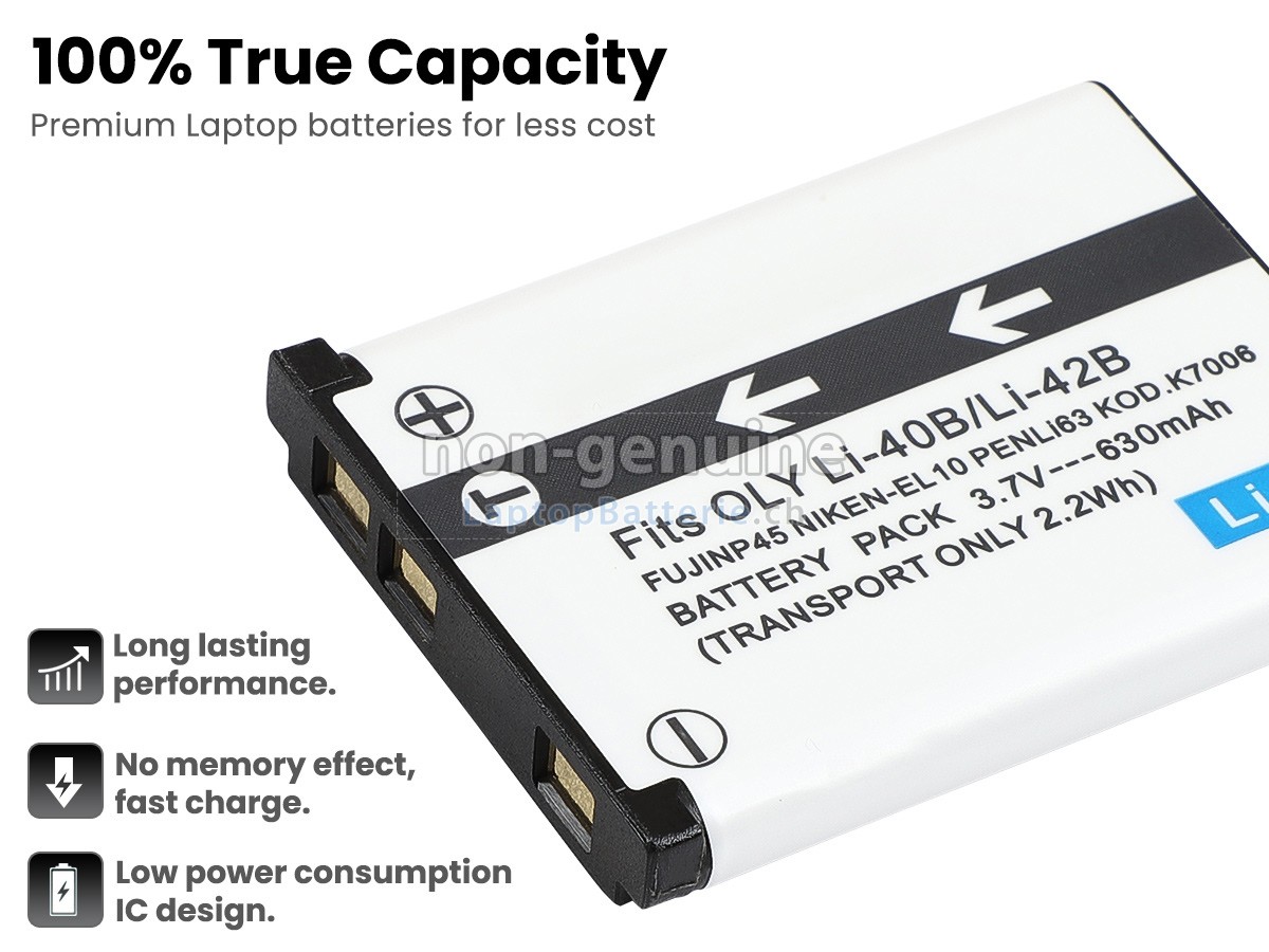Nikon COOLPIX S500 Ersatzbatterie