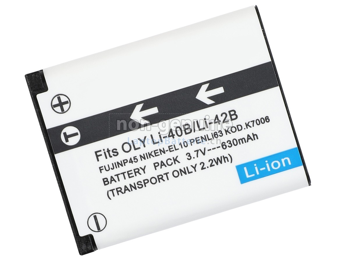 Nikon COOLPIX S500 Ersatzbatterie