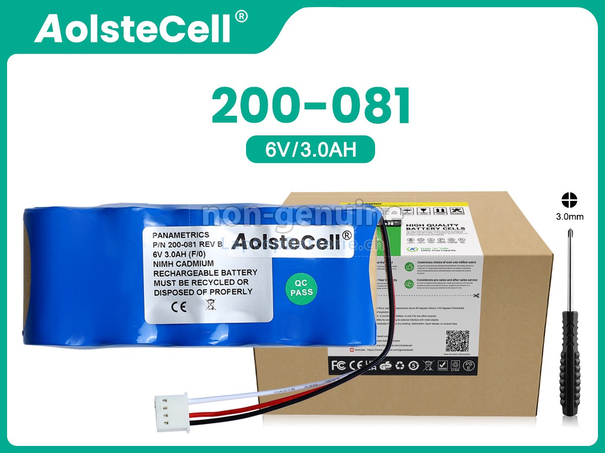 Panametrics PT878 FLOWMETER Ersatzbatterie