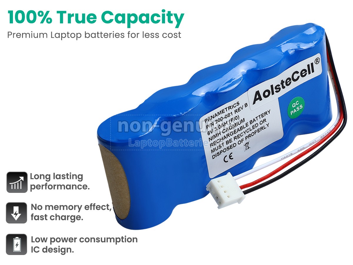 Panametrics PT878 FLOWMETER Ersatzbatterie