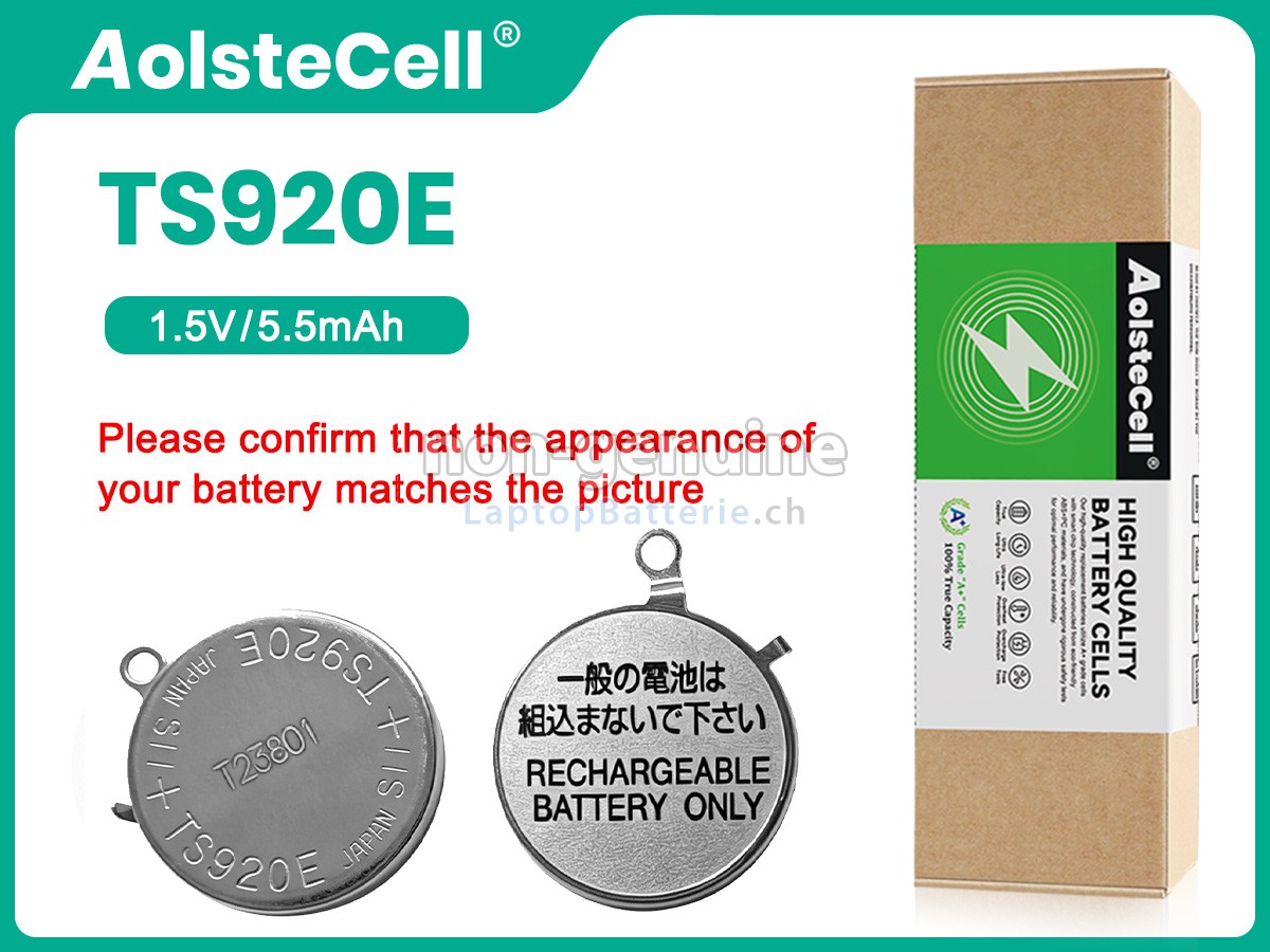 Panasonic TS920E Ersatzbatterie