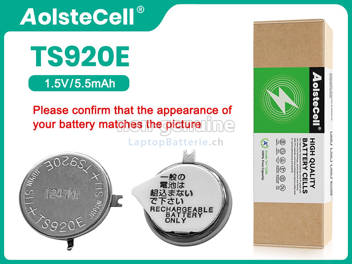Panasonic TS920E Ersatzbatterie