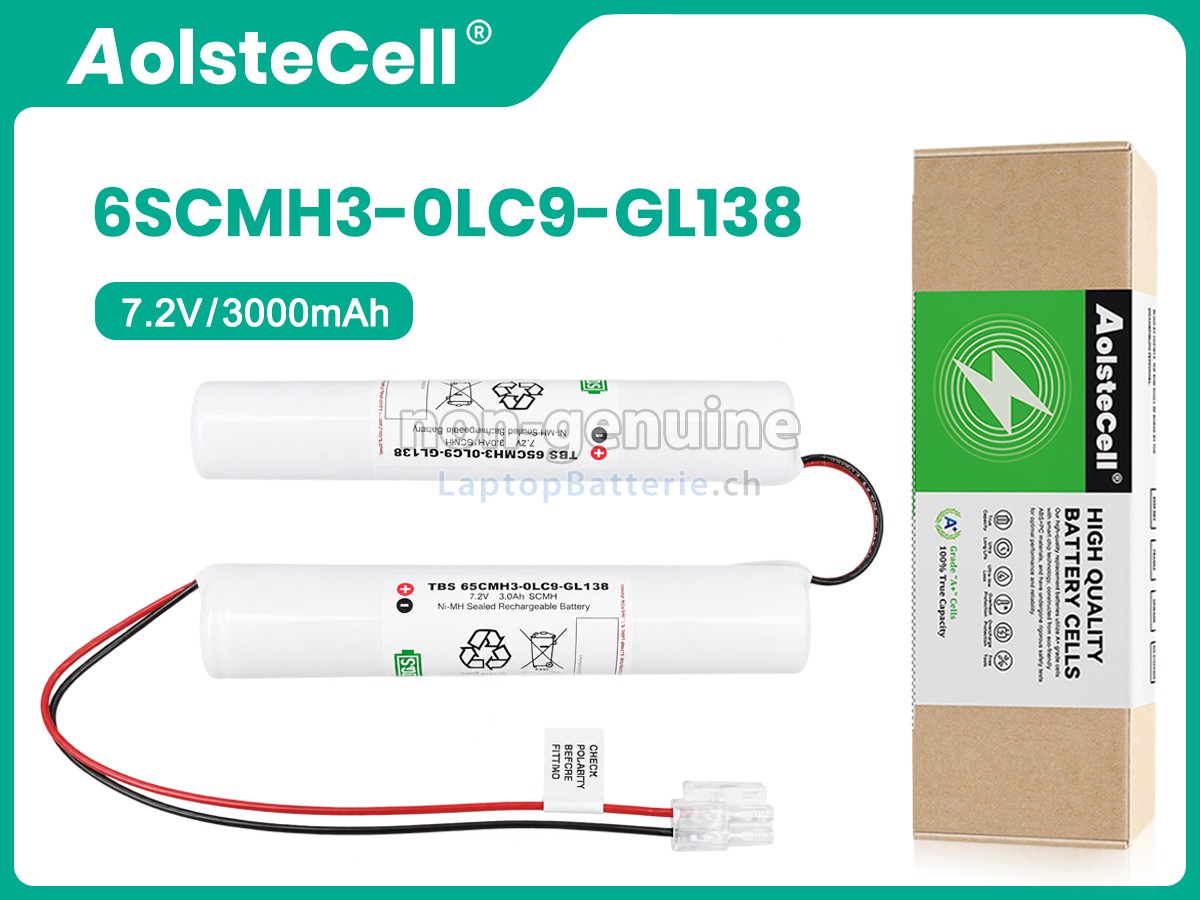 Philips 6SCMH3-0LC9-GL138 Ersatzbatterie