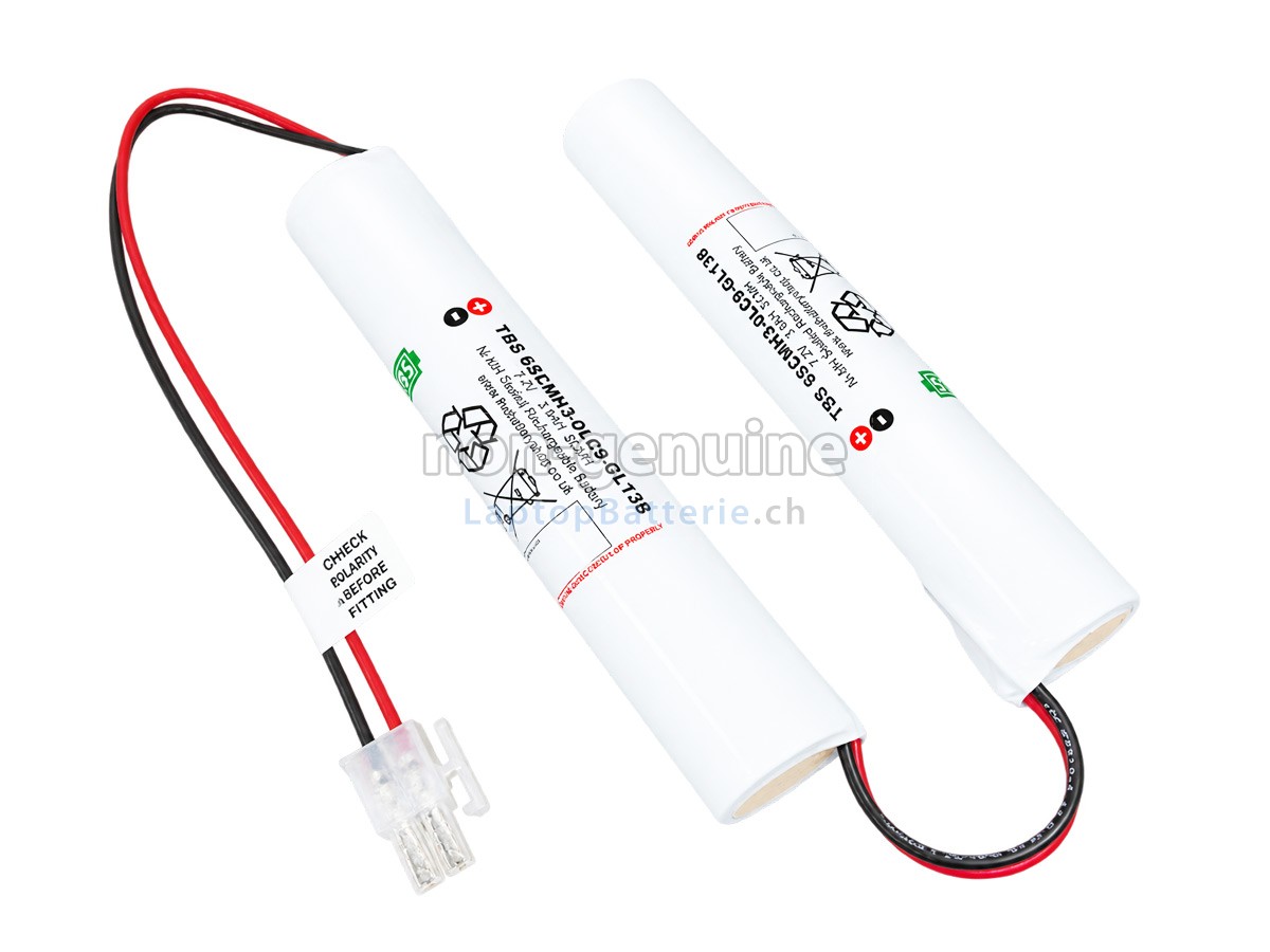 Philips 6SCMH3-0LC9-GL138 Ersatzbatterie