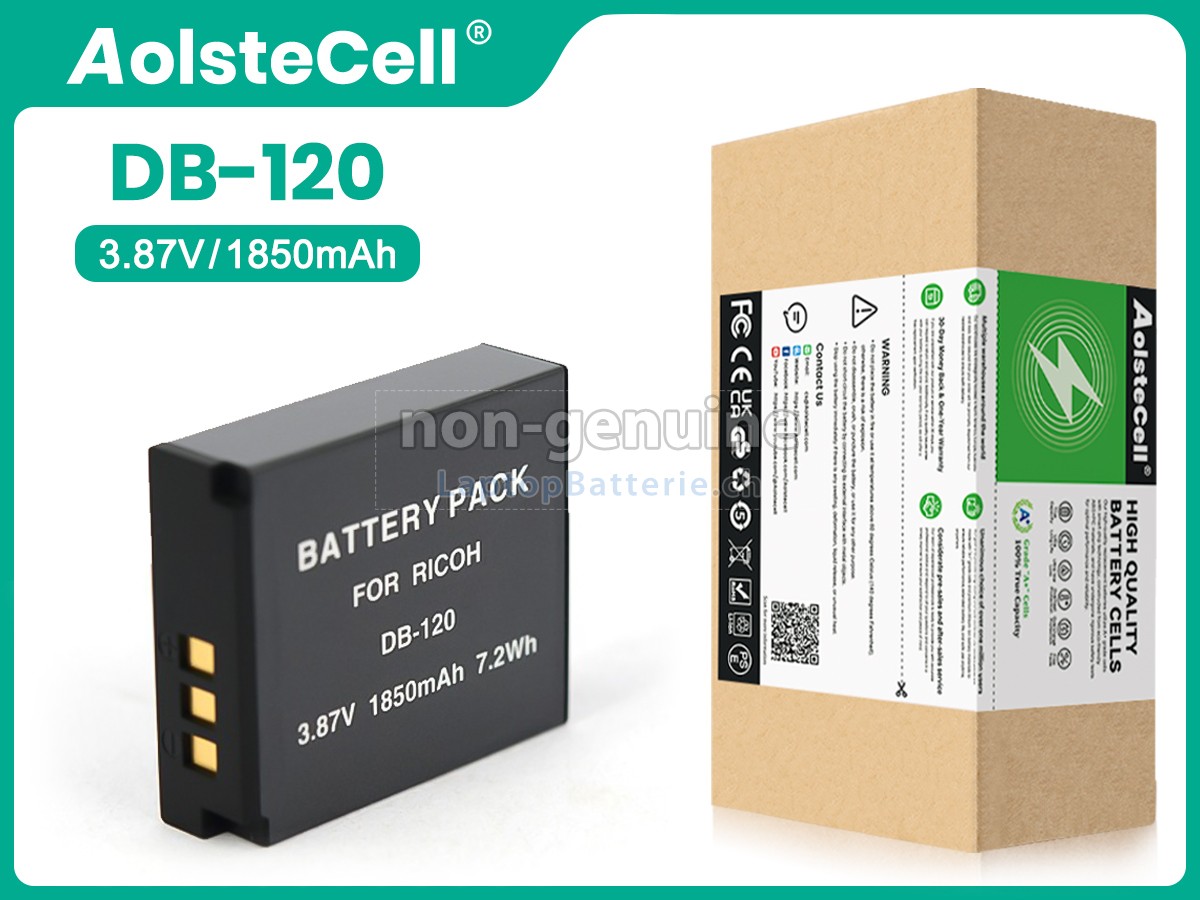 Ricoh DB-120 Ersatzbatterie