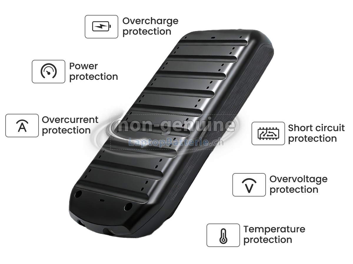 Rowenta SS-2230002590 Ersatzbatterie