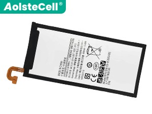 Samsung C9010 Akku