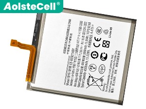 Samsung Galaxy S24 SM-S9210 Akku