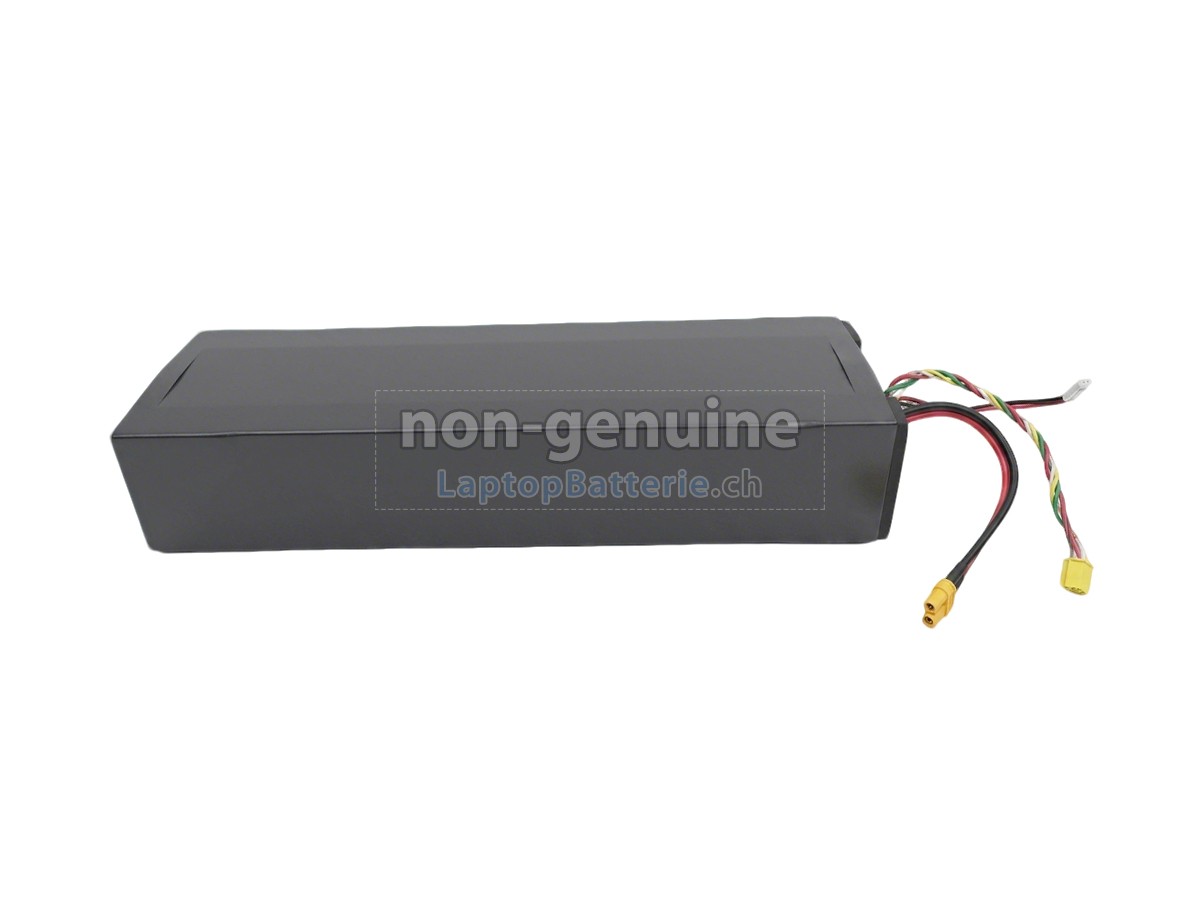 Segway Ninebot H1319-H Ersatzbatterie