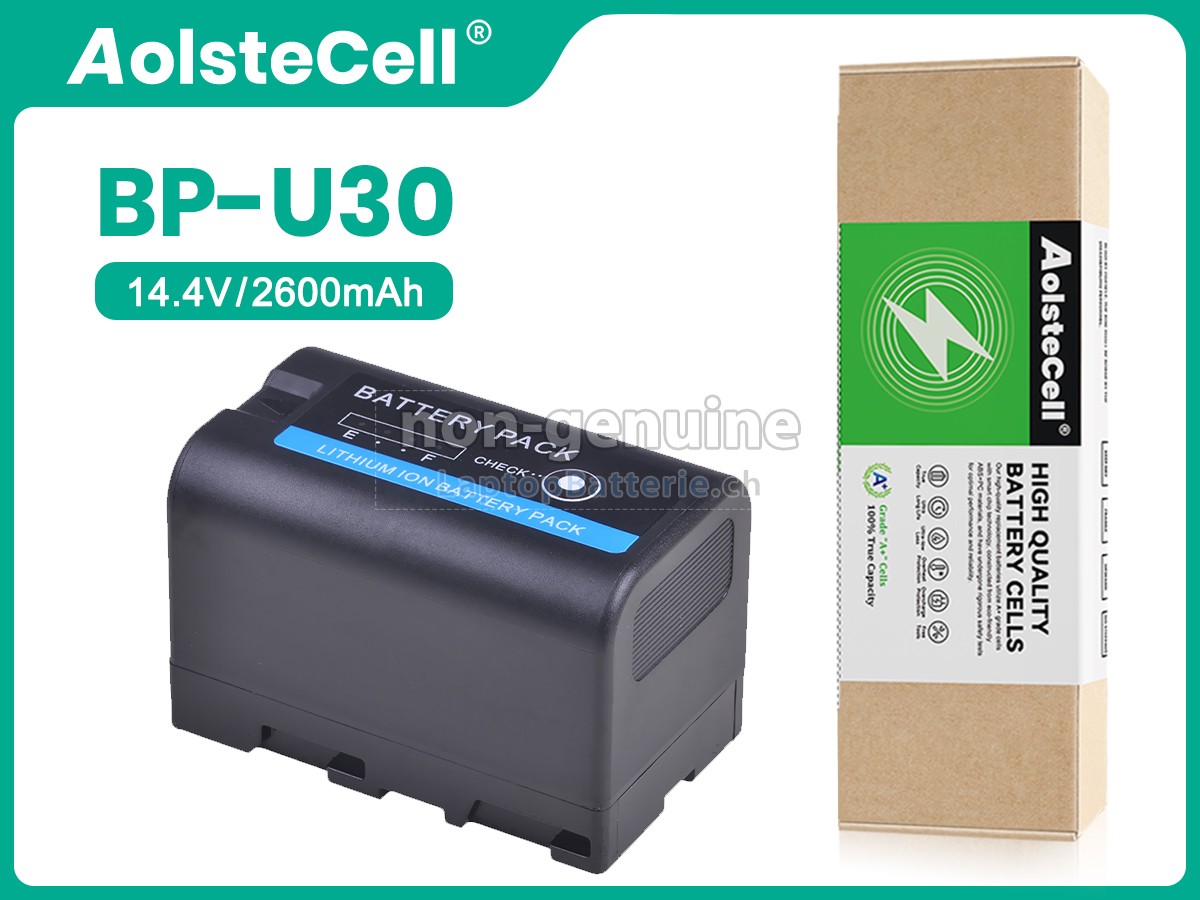 Sony BP-U30 Ersatzbatterie