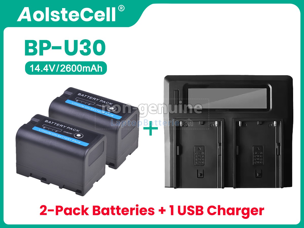 Sony BP-U30 Ersatzbatterie