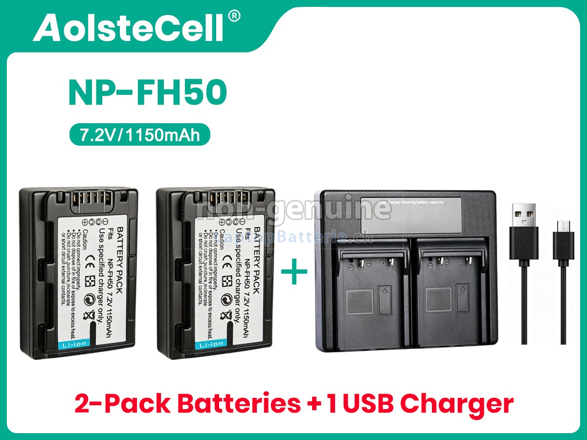 Sony NP-FH60 Ersatzbatterie