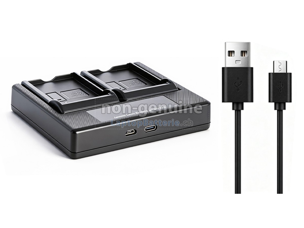 Sony NP-FH60 Ersatzbatterie