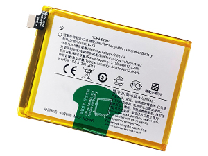 Vivo B-F0 Akku
