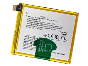 Vivo B-G3 Akku