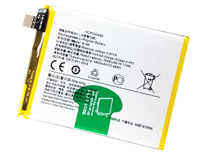 Vivo B-N8 Akku