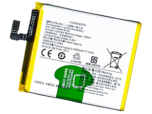 Vivo B-R6 Akku